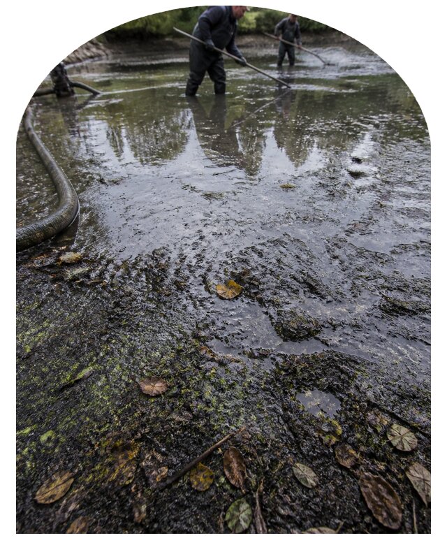 Очистка пруда в Новокуйбышевске от ила мусора и водорослей с вывозом